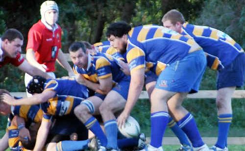 Hammers captain Andrew Rye will lead his troops into battle against Noosa today. The game is Gympie’s last of the season. Hammers captain Andrew Rye will lead his troops into battle against Noosa today. The game is Gympie’s last of the season.